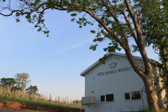 home of Rita Farm & winery